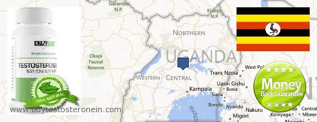 Buy Testosterone online Uganda Where to Buy Testosterone online Uganda