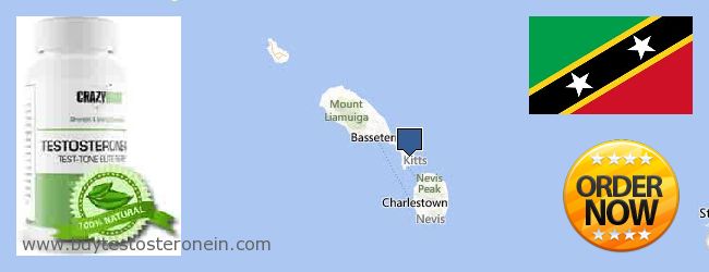 Osta Testosterone verkossa Saint Kitts And Nevis Jälleenmyyjät Testosterone verkossa Saint Kitts And Nevis