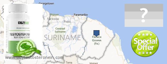Hvor kan jeg købe Testosterone online French Guiana