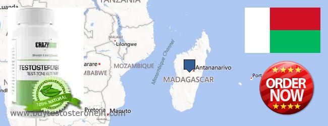 Hvor kan jeg købe Testosterone online Madagascar