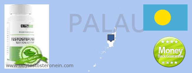 Hvor kan jeg købe Testosterone online Palau