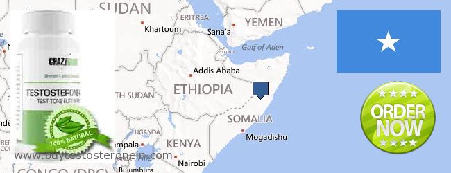Hvor kan jeg købe Testosterone online Somalia