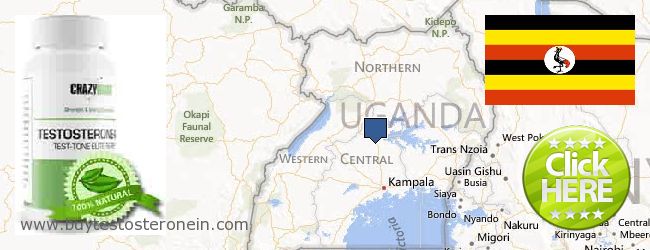 Hvor kan jeg købe Testosterone online Uganda