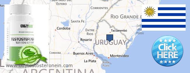 Hvor kan jeg købe Testosterone online Uruguay