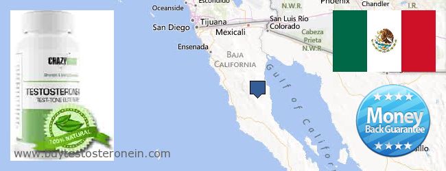 Where to Buy Testosterone online Baja California, Mexico