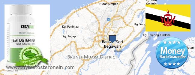 Where to Buy Testosterone online Bandar Seri Begawan, Brunei