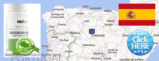 Where to Buy Testosterone online Castilla y León, Spain