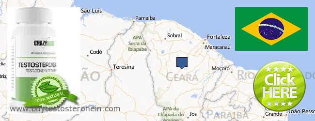Where to Buy Testosterone online Ceará, Brazil