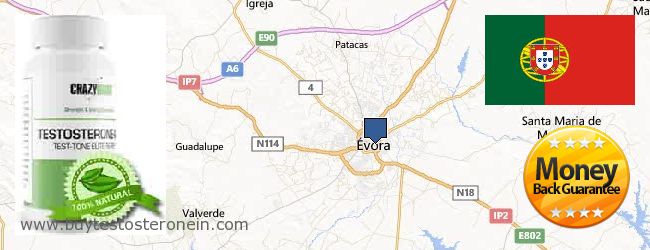 Where to Buy Testosterone online Évora, Portugal