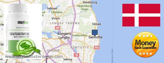 Where to Buy Testosterone online Gentofte, Denmark