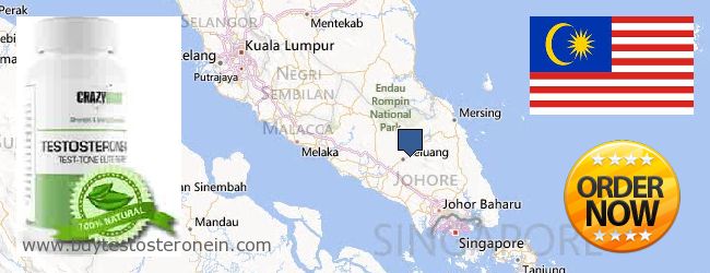 Where to Buy Testosterone online Johor, Malaysia