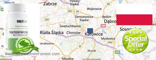 Where to Buy Testosterone online Katowice, Poland