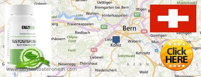 Where to Buy Testosterone online Köniz, Switzerland