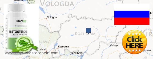 Where to Buy Testosterone online Kostromskaya oblast, Russia