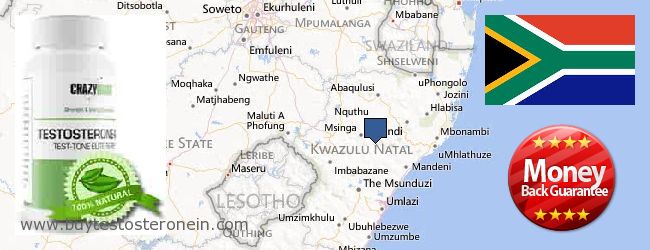 Where to Buy Testosterone online Kwazulu-Natal, South Africa