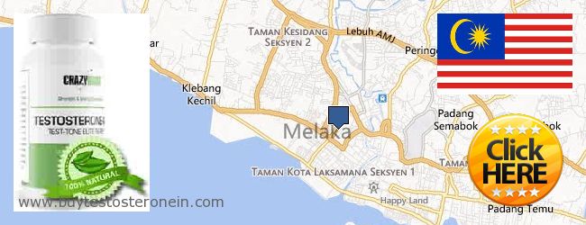 Where to Buy Testosterone online Melaka (Malacca), Malaysia