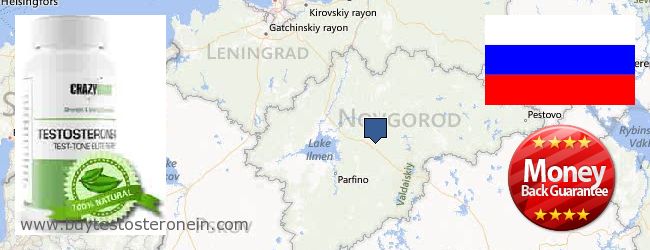 Where to Buy Testosterone online Novgorodskaya oblast, Russia