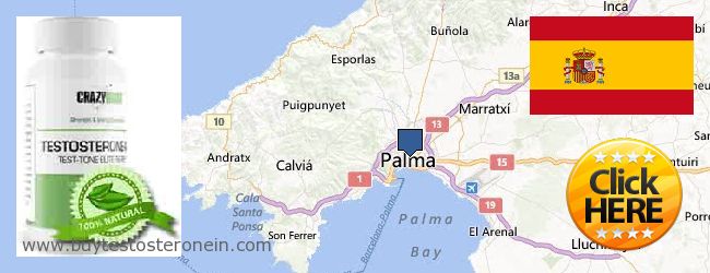 Where to Buy Testosterone online Palma de Mallorca, Spain