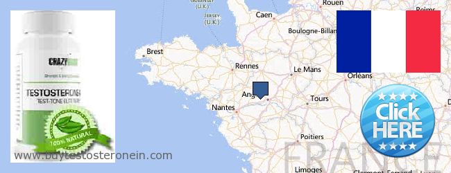 Where to Buy Testosterone online Pays de la Loire, France