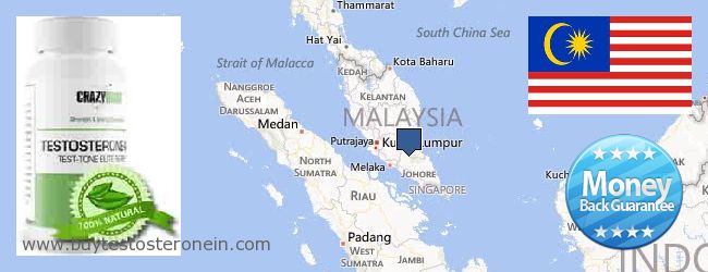 Where to Buy Testosterone online Pinang (Pulau Pinang) (Penang), Malaysia