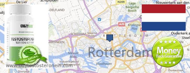 Where to Buy Testosterone online Rotterdam, Netherlands