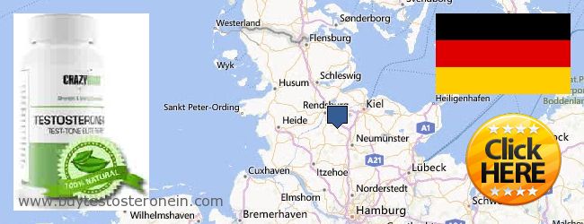 Where to Buy Testosterone online Schleswig-Holstein, Germany