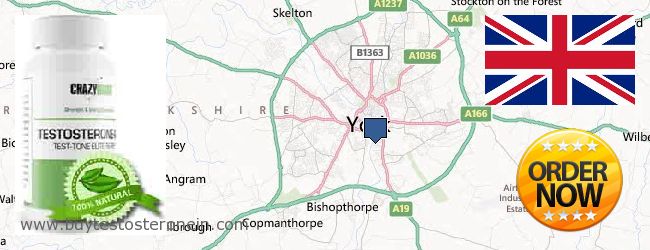 Where to Buy Testosterone online York, United Kingdom