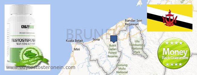 Unde să cumpărați Testosterone on-line Brunei
