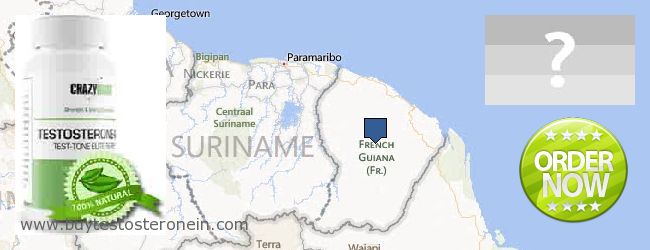 Unde să cumpărați Testosterone on-line French Guiana