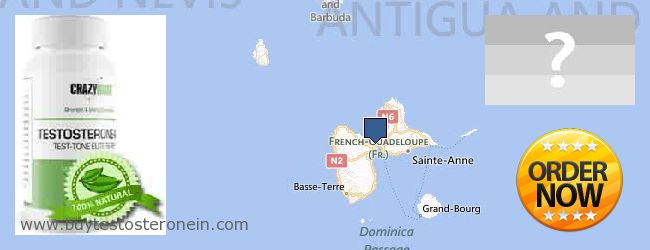 Unde să cumpărați Testosterone on-line Guadeloupe