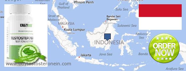 Unde să cumpărați Testosterone on-line Indonesia