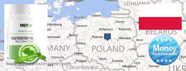 Unde să cumpărați Testosterone on-line Poland