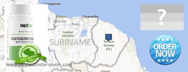 Wo kaufen Testosterone online French Guiana