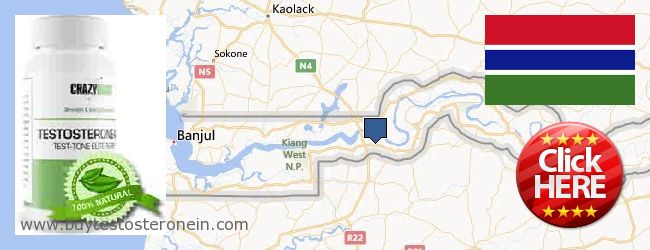 Kaufen Testosterone online Gambia Wo kaufen Testosterone online Gambia
