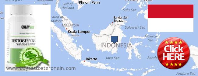 Kaufen Testosterone online Indonesia Wo kaufen Testosterone online Indonesia
