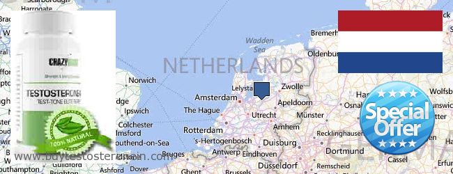 Kaufen Testosterone online Netherlands Wo kaufen Testosterone online Netherlands