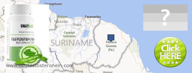Hol lehet megvásárolni Testosterone online French Guiana