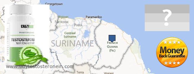 Hvor kjøpe Testosterone online French Guiana