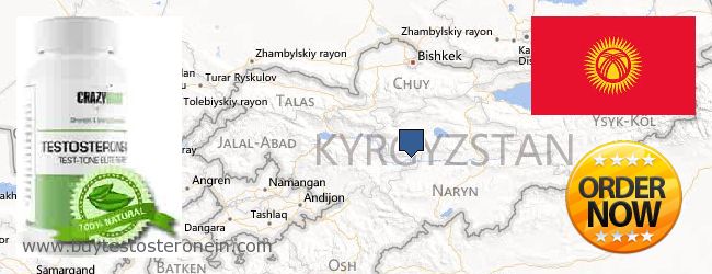 Hvor kjøpe Testosterone online Kyrgyzstan