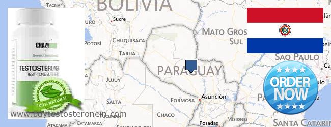 Hvor kjøpe Testosterone online Paraguay