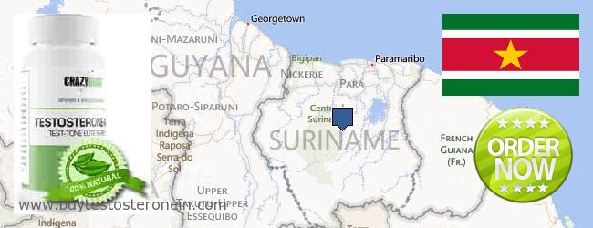 Hvor kjøpe Testosterone online Suriname
