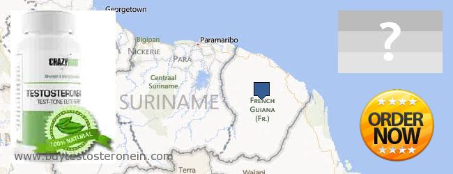 Waar te koop Testosterone online French Guiana