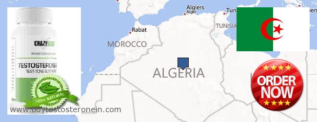 Kde koupit Testosterone on-line Algeria
