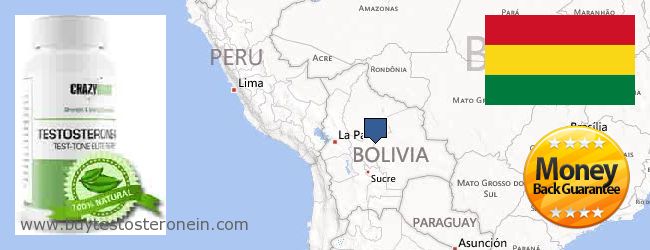 Kde koupit Testosterone on-line Bolivia