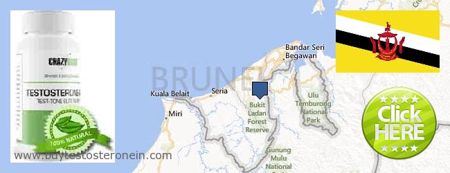 Kde koupit Testosterone on-line Brunei