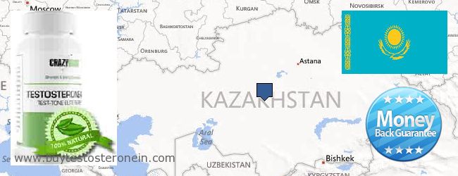 Kde koupit Testosterone on-line Kazakhstan