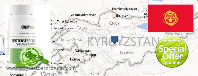 Kde koupit Testosterone on-line Kyrgyzstan