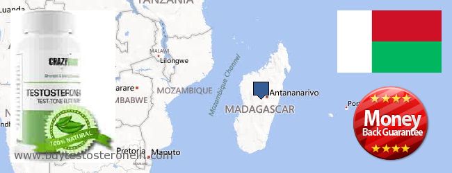 Kde koupit Testosterone on-line Madagascar