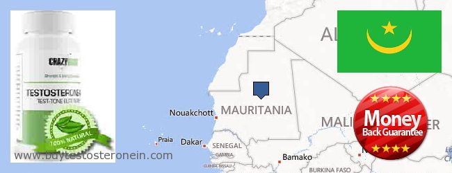Kde koupit Testosterone on-line Mauritania