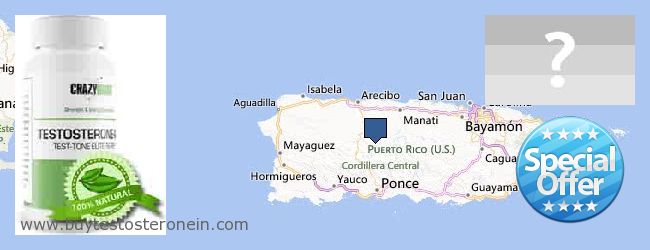 Kde koupit Testosterone on-line Puerto Rico